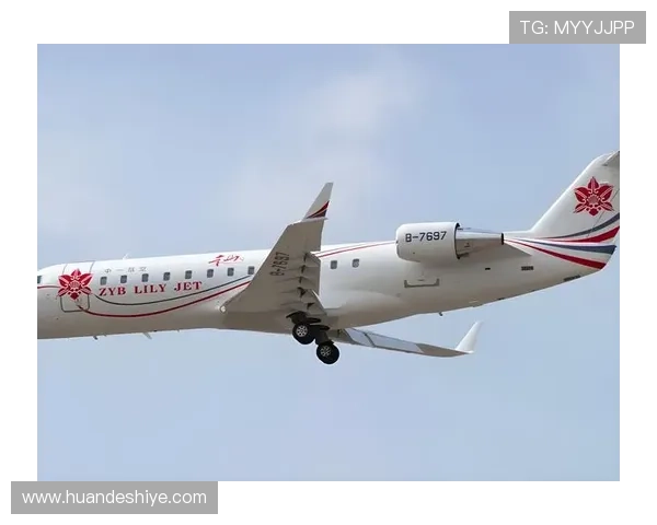 大阪刚买下比她训练时间还长的私人飞机