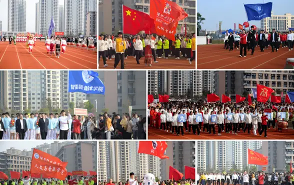 MK体育-MKsports官网