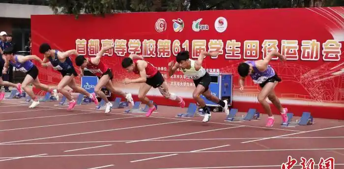 MK体育-MKsports官网