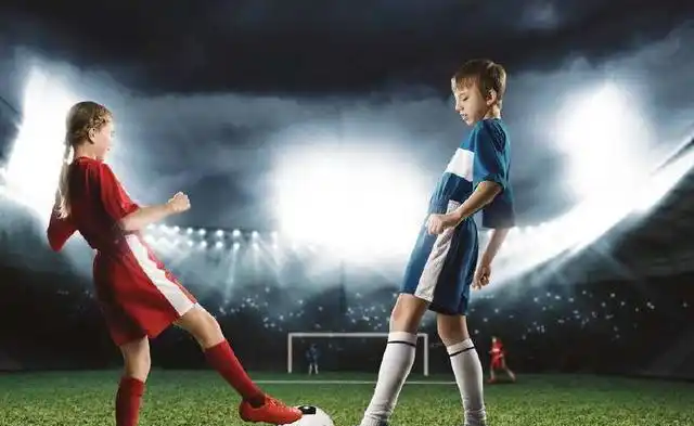 MK体育-MKsports官网