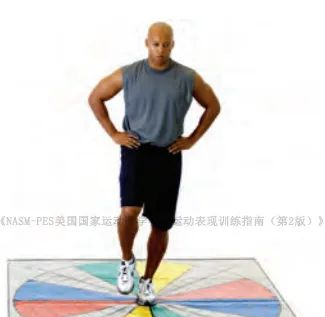 MK体育-MKsports官网