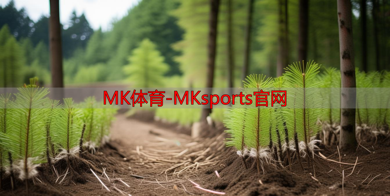 MK体育-MKsports官网